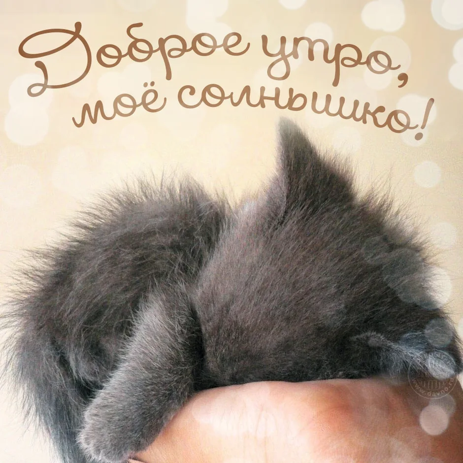 Открытки доброе утро