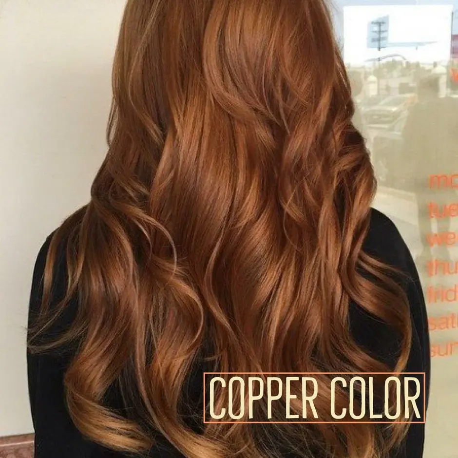 Chestnut brown цвет волос