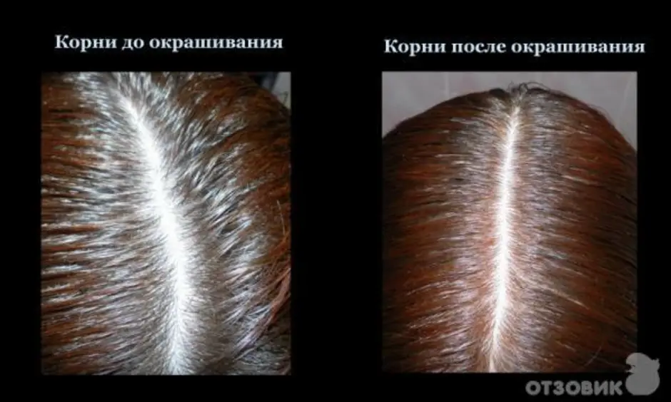 Окрашивание хной седых волос