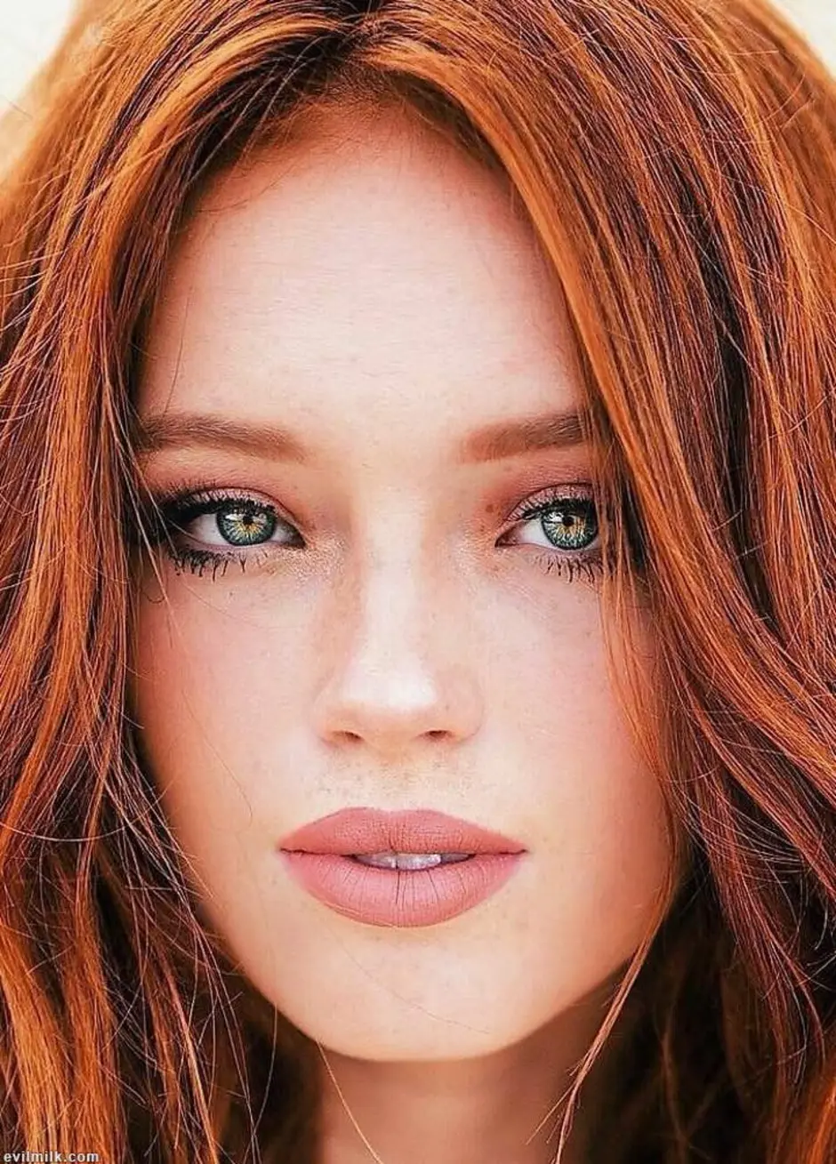 Riley rasmussen