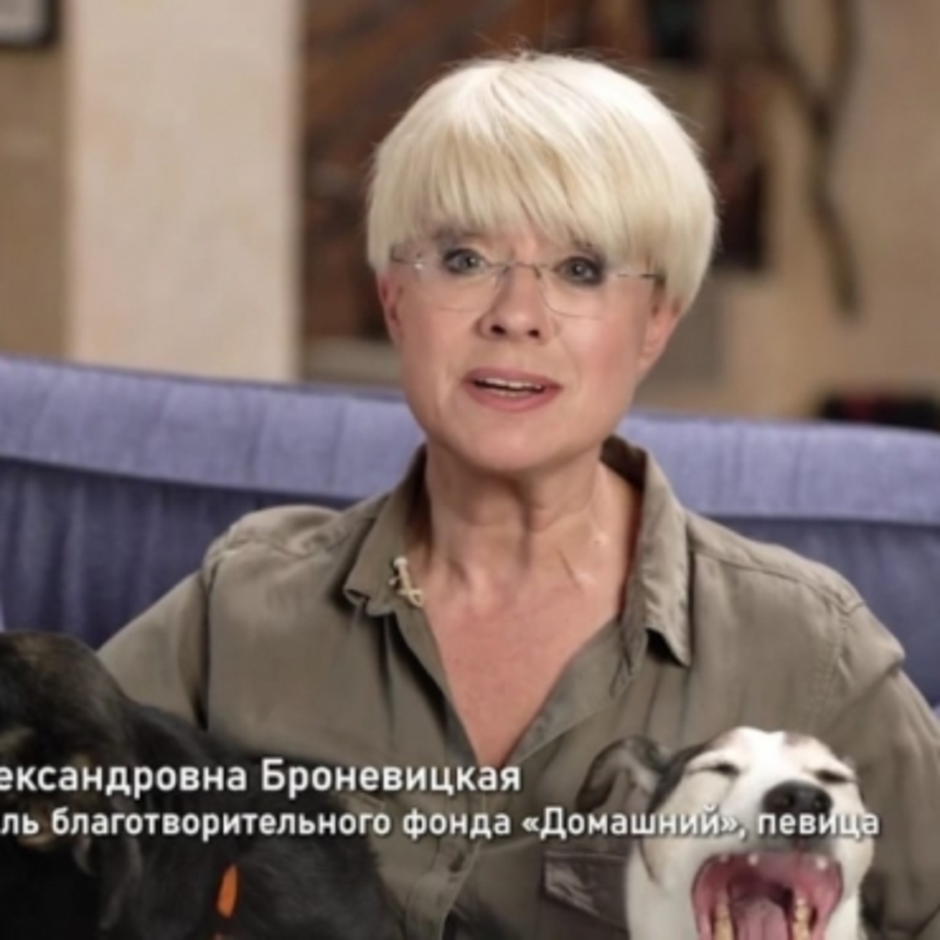 Илона броневицкая