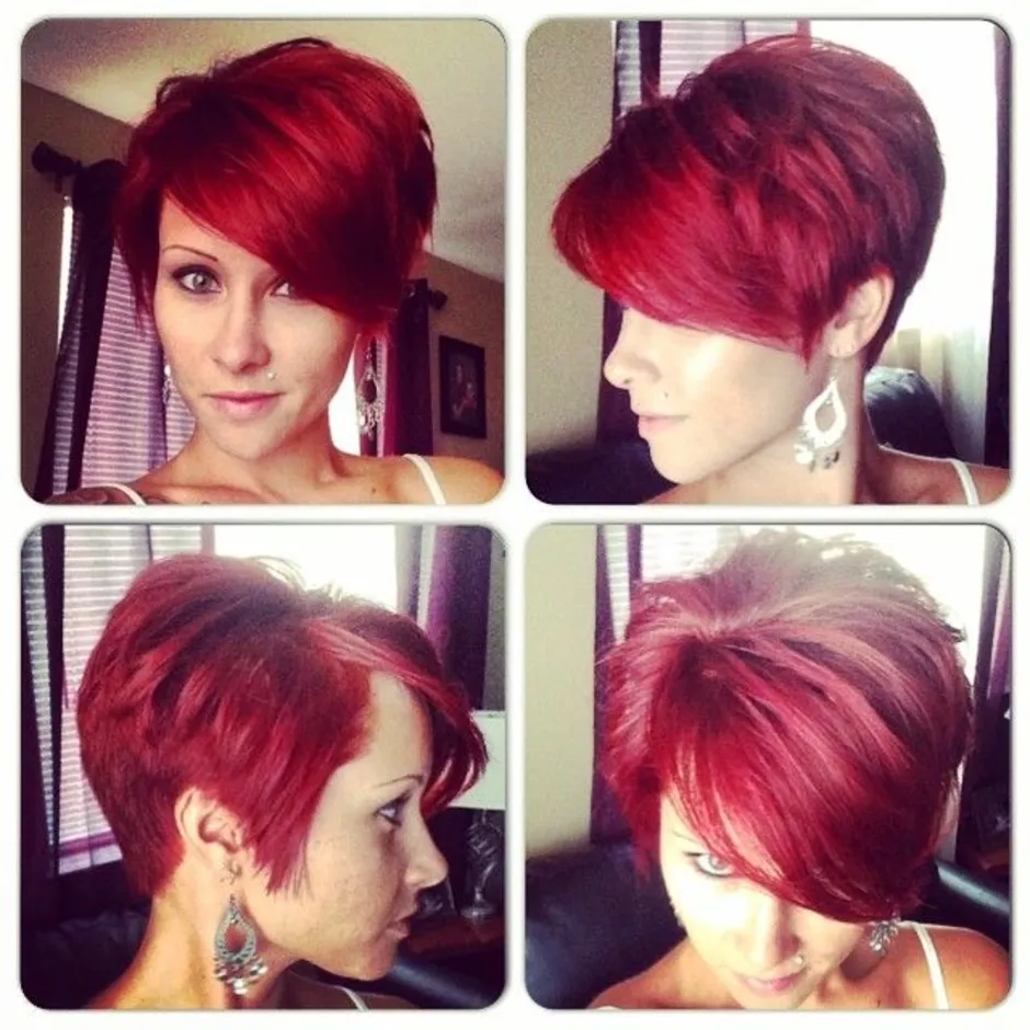 Pixie bob стрижка красный