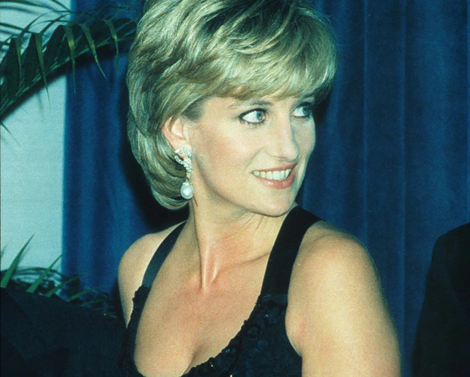 Princess diana's murder