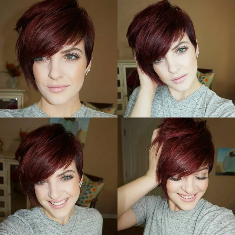 Pixie bob стрижка красный