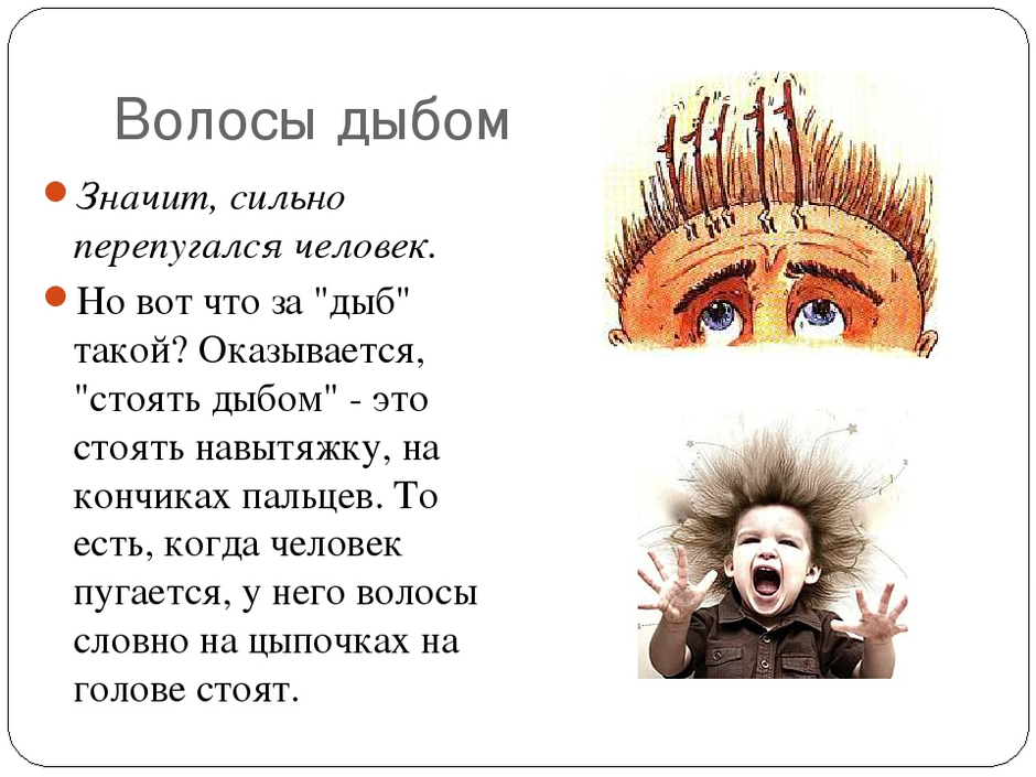 Волосы дыбом фразеологизм