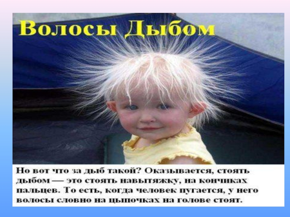 Волосы дыбом