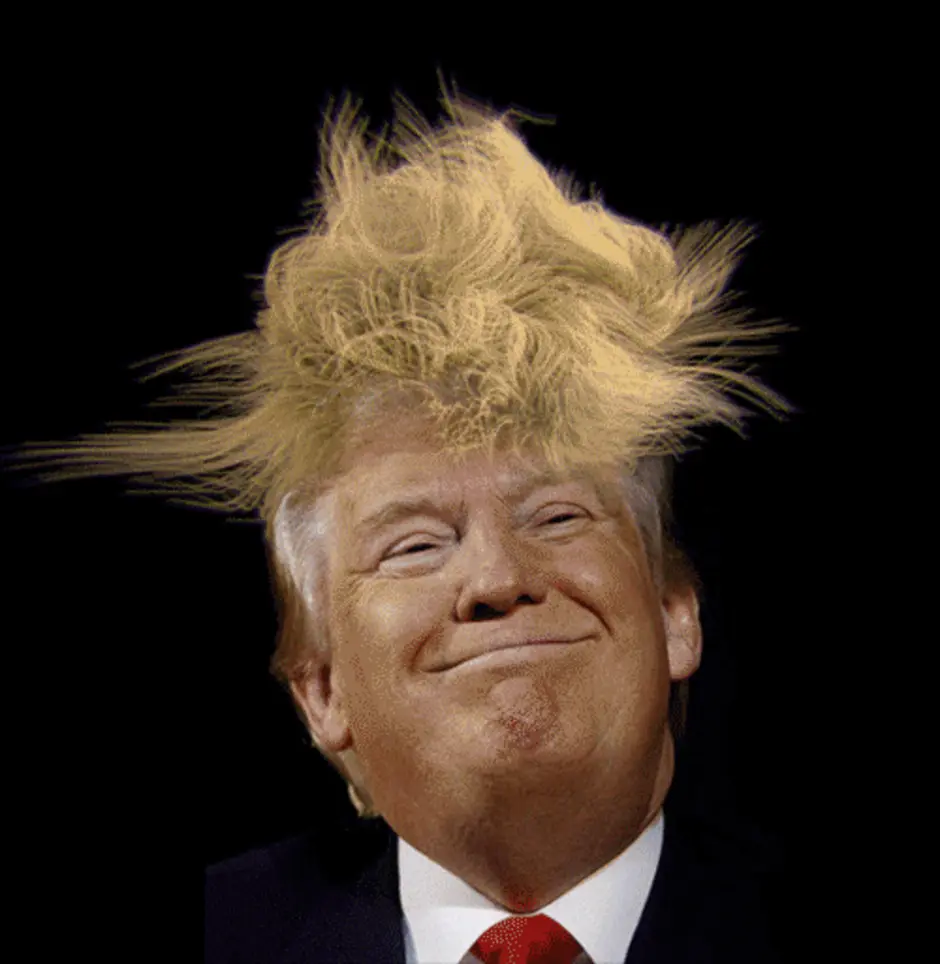 Прическа дональда трампа
