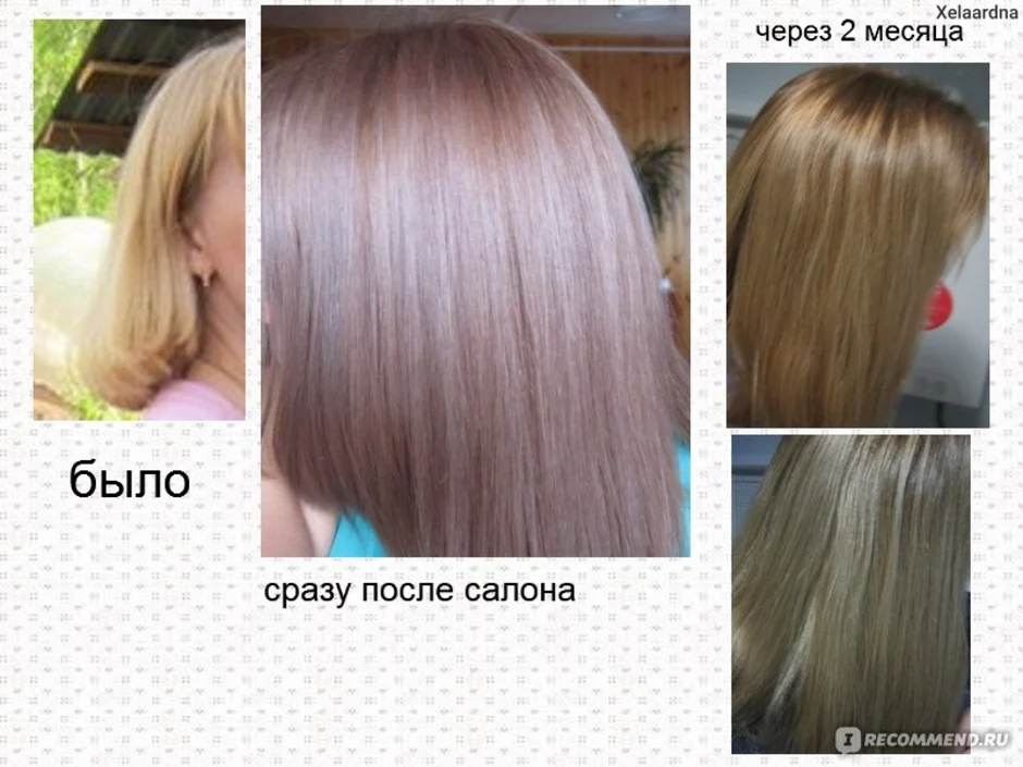 Эстель 8 65