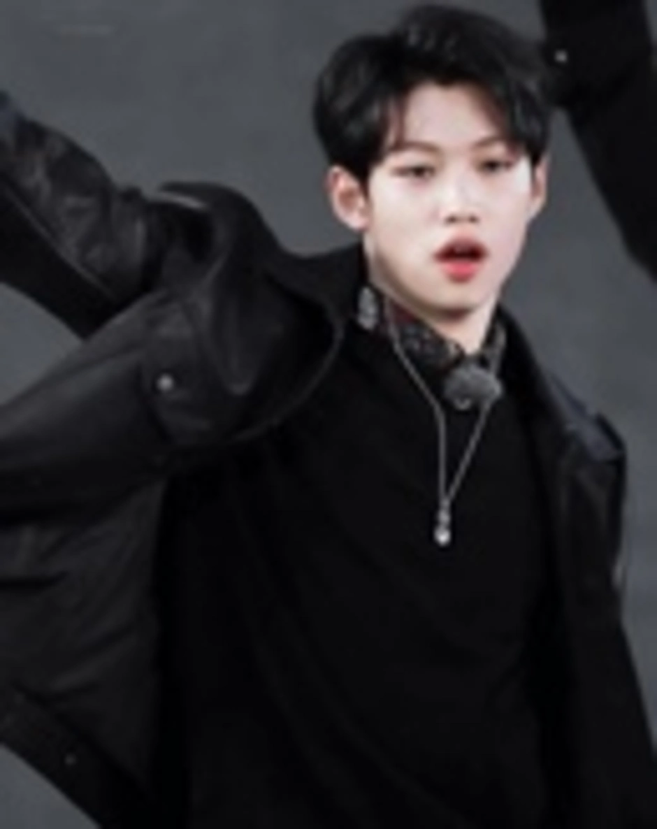 Феликс stray kids чёрный