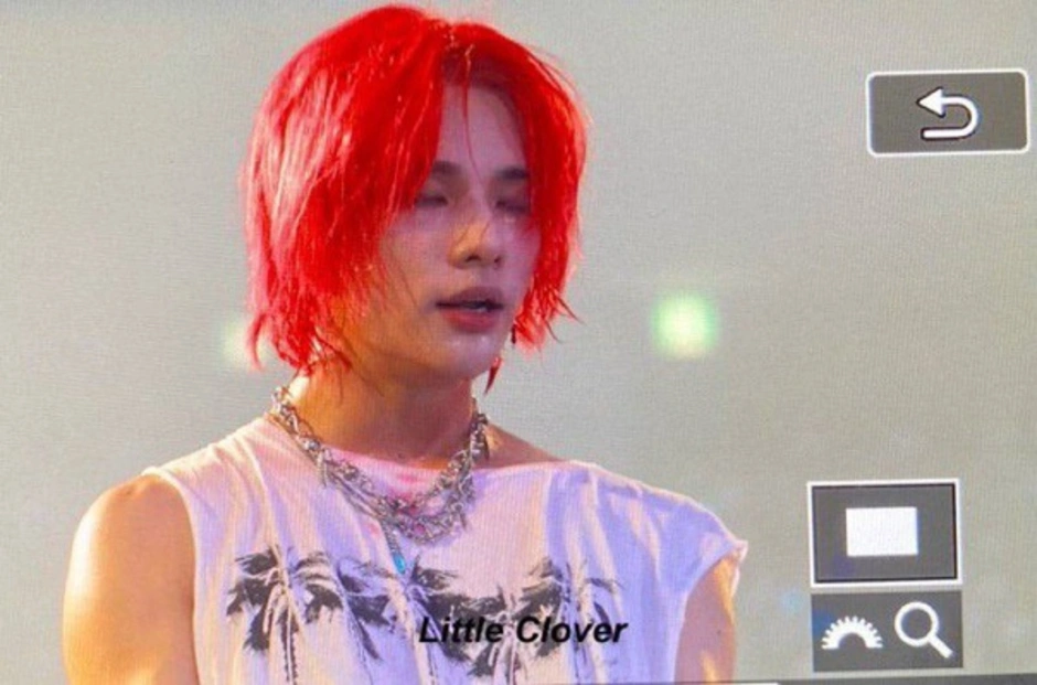 Hyunjin stray red hair