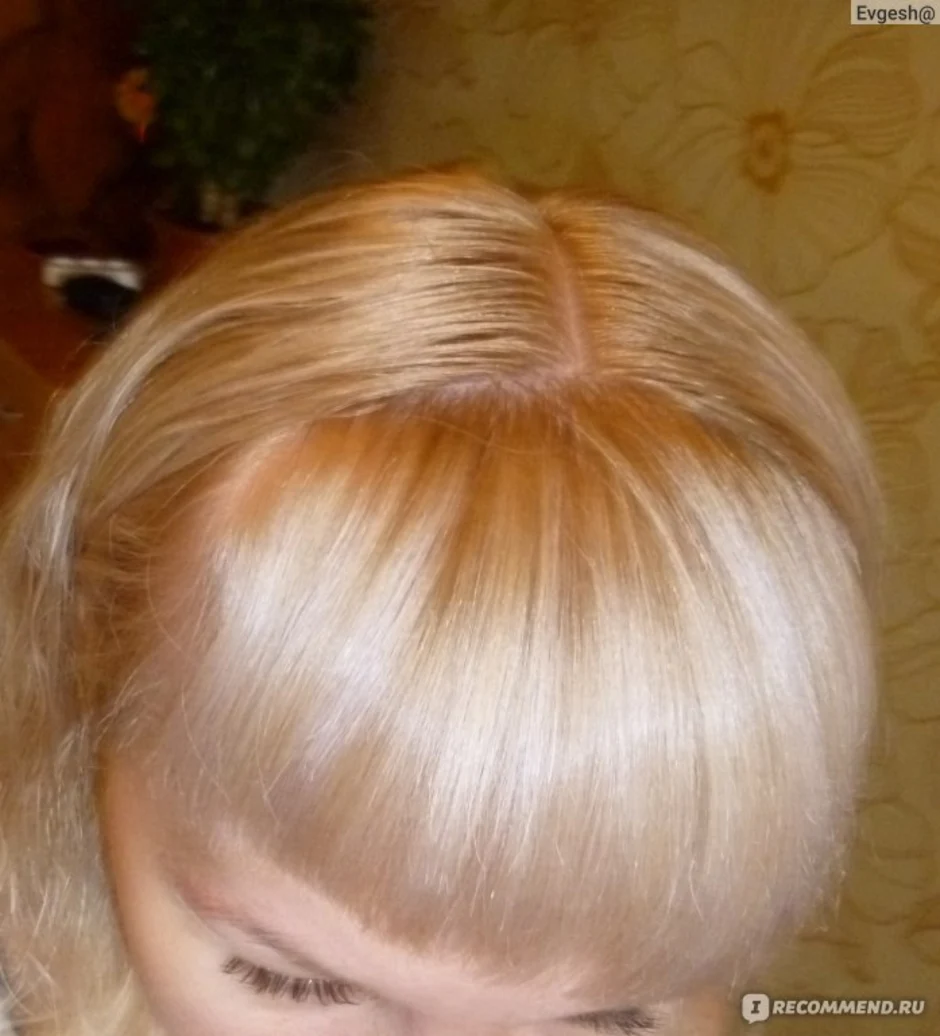 Эстель 10 65