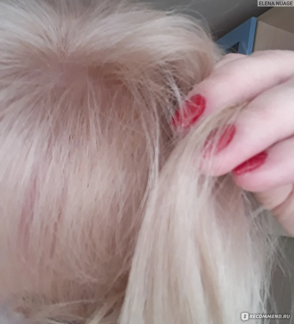 Estel princess 10/65
