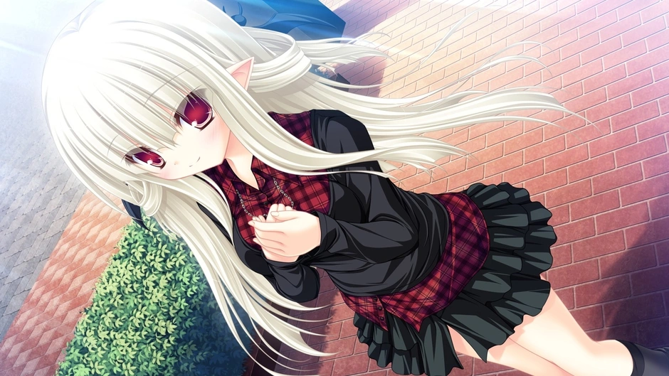 Mikagami mamizu