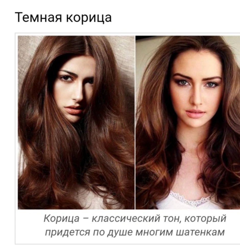 Каштановые оттенки волос