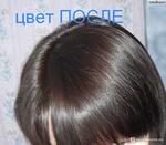 6.0 краска для волос цвет фото