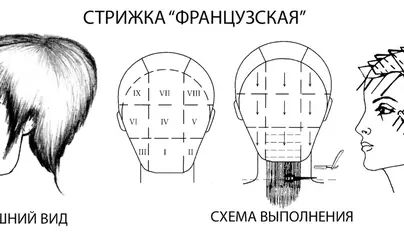 Схемы стрижек картинки