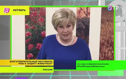 Стрижка ангелины вовк спереди и сзади фото