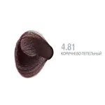 Капус 4.81 коричнево пепельный фото на волосах