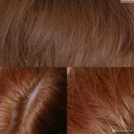 Капус 8.00 Фото На Волосах